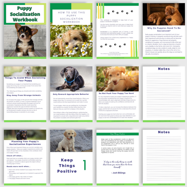 The Ultimate New Puppy Bundle | New Puppy Workbook | Puppy Socialization Workbook | Instant Download | 8.5x11 PDF | Puppy Planning - Image 5