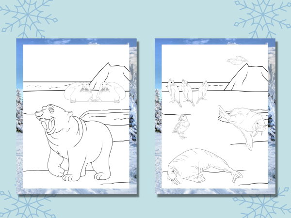 50 Fun and Relaxing Wintertime Digital Coloring Pages for Kids and Adults, Nature Coloring Pack, Northern Animals, Travel Friendly Activity - Image 5