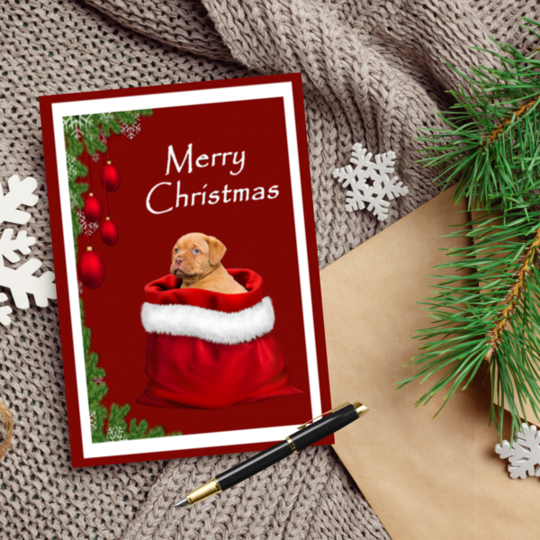 Christmas Cards - Animals - Image 3