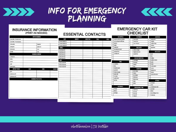 Emergency Planning Worksheets - Image 2