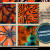 DIGITAL PAPER Bundle - Gothic Galactic Smokey Orange Tangerine - Digital Papers Pack 12 - 12x12 | Set #001 Orange Black Seamless - jpg png - Image 5