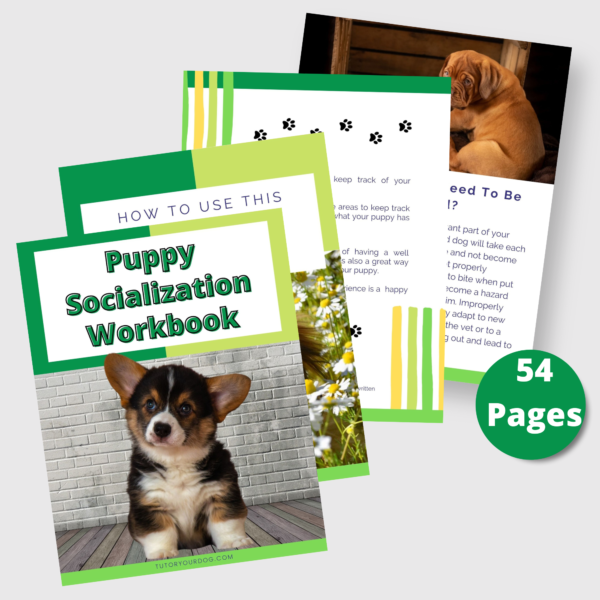 The Ultimate New Puppy Bundle | New Puppy Workbook | Puppy Socialization Workbook | Instant Download | 8.5x11 PDF | Puppy Planning - Image 4