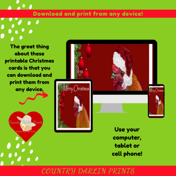 Christmas Cards - Animals - Image 5