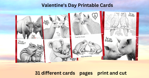 Animal Love Valentine's Day Postcards 7x5