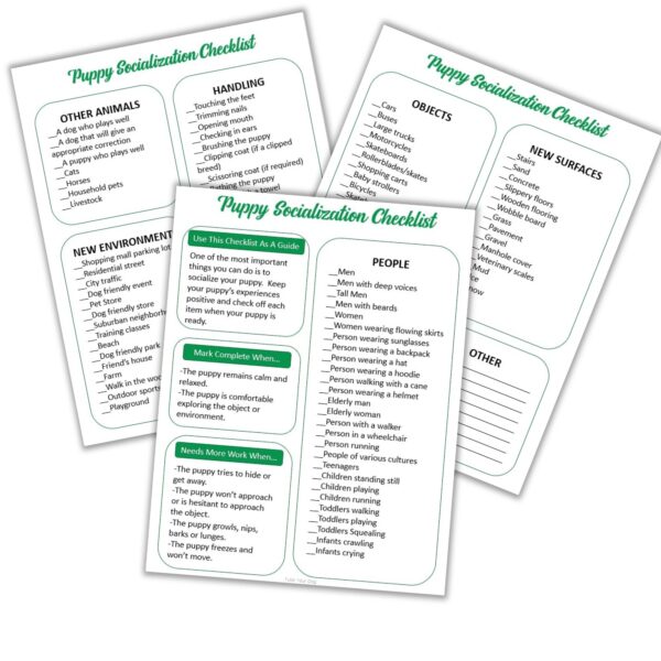 Printable Puppy Socialization Checklist | Dog Socialization | Puppy Training Checklist| Pet Tracker | Dog Worksheet | US Letter - Image 2