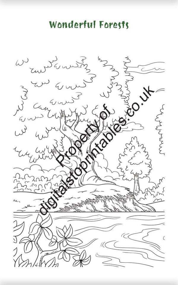 Nature Coloring Pages in reprintable pdf format - Image 5