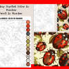Ladybug, PBN, Paint by Number, Color by Number, Digital Color by Number, Digital Paint by Number, iPad Color by Number, PDF Color by Number