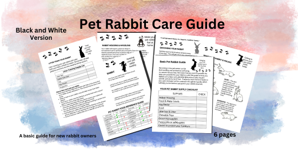 Basic Pet Rabbit Guide Booklet