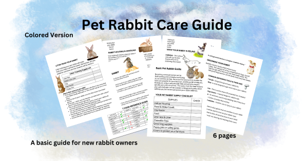 Basic Pet Rabbit Guide Booklet Color Version