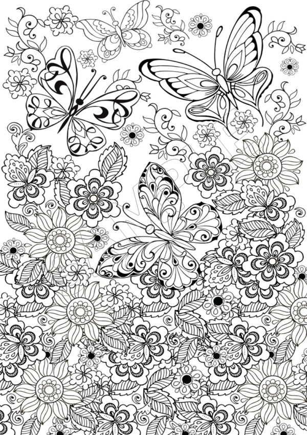 Marvelous Butterflies Printable Coloring Pages - Image 5