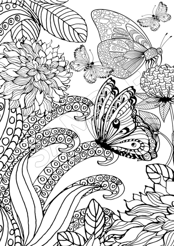 Marvelous Butterflies Printable Coloring Pages - Image 7