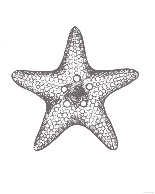 Starfish Wall Art - Image 2