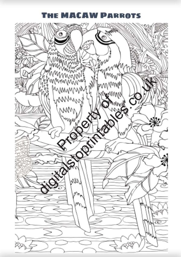 Wildlife Coloring Pages in reprintable pdf format - Image 7