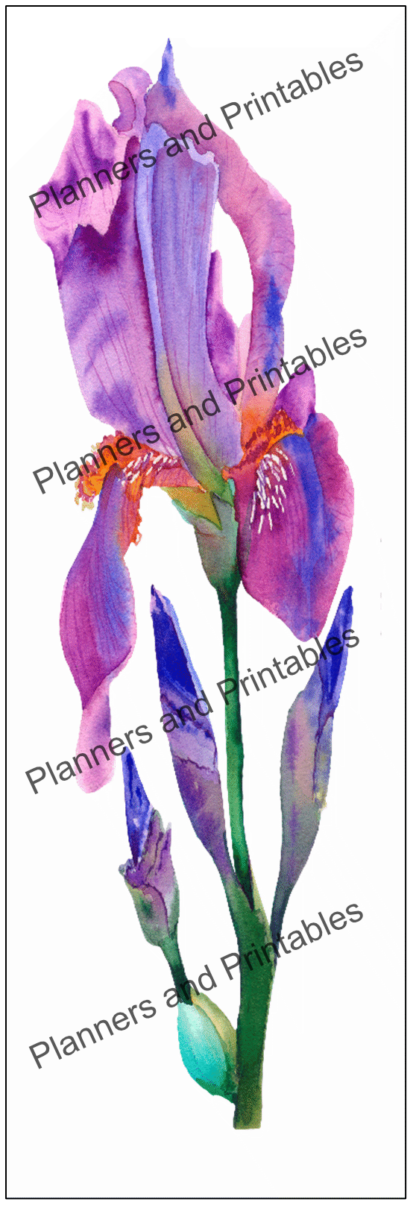 Set of 5 Iris flower watercolour design Printable Bookmarks home printable PDF instant download - Image 6